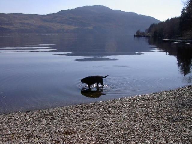Tigh Na Bruach B&B Invermoriston Zewnętrze zdjęcie